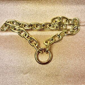 14 K Gold Plated Big Oval Chain Necklace